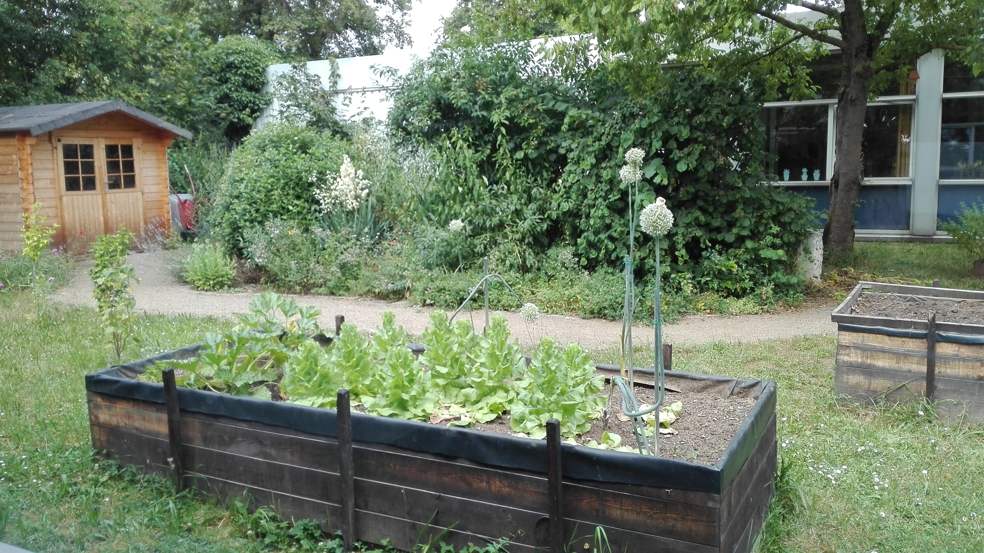 Schulgarten
